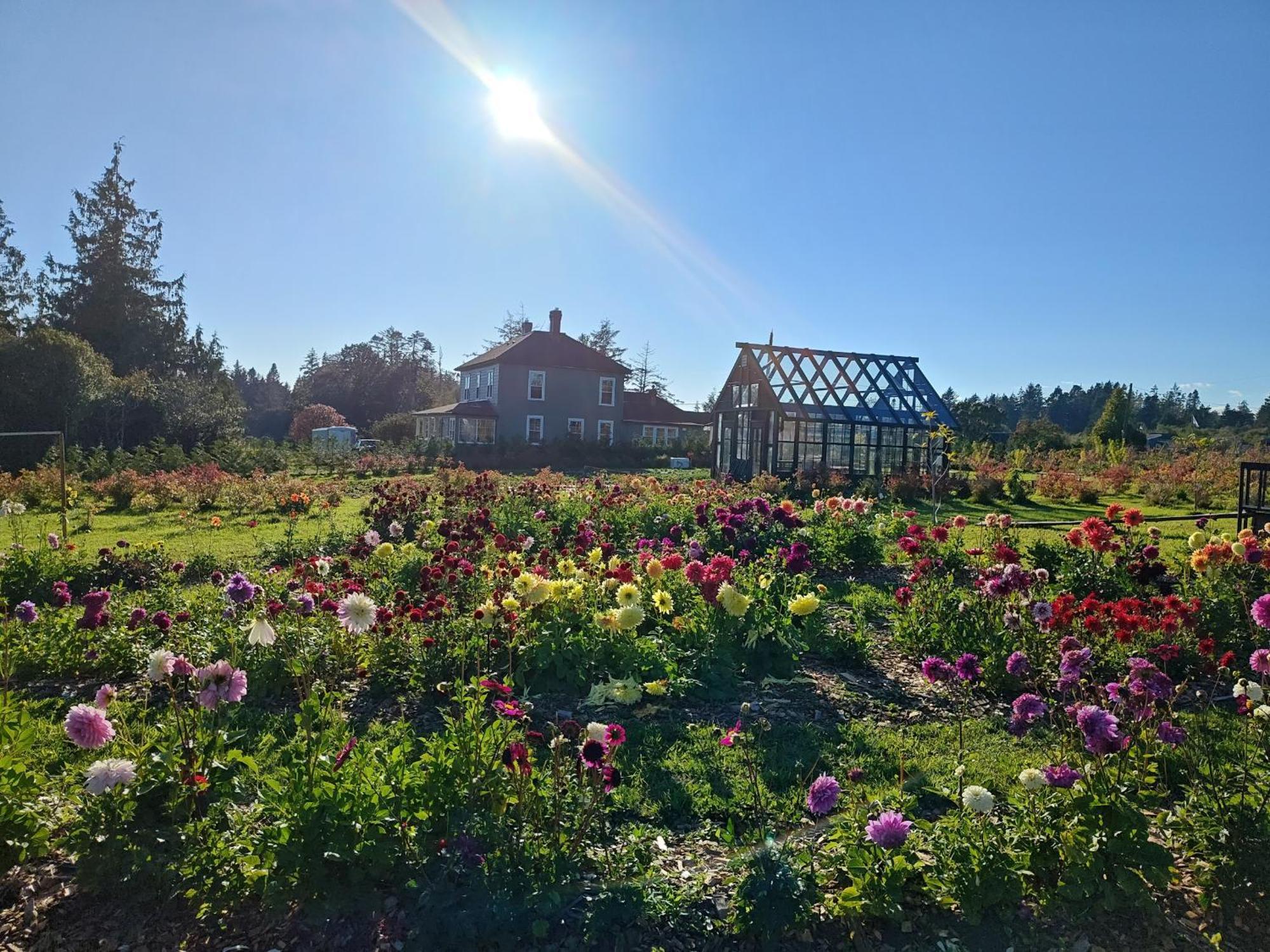 Woodside Farm Country Inn 苏克 外观 照片